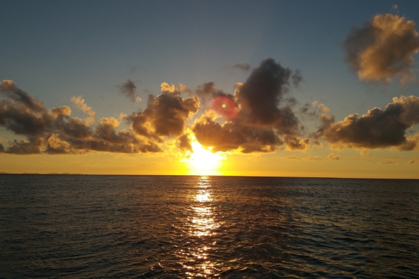 姉の死から4年。思考と思考のすきまで。