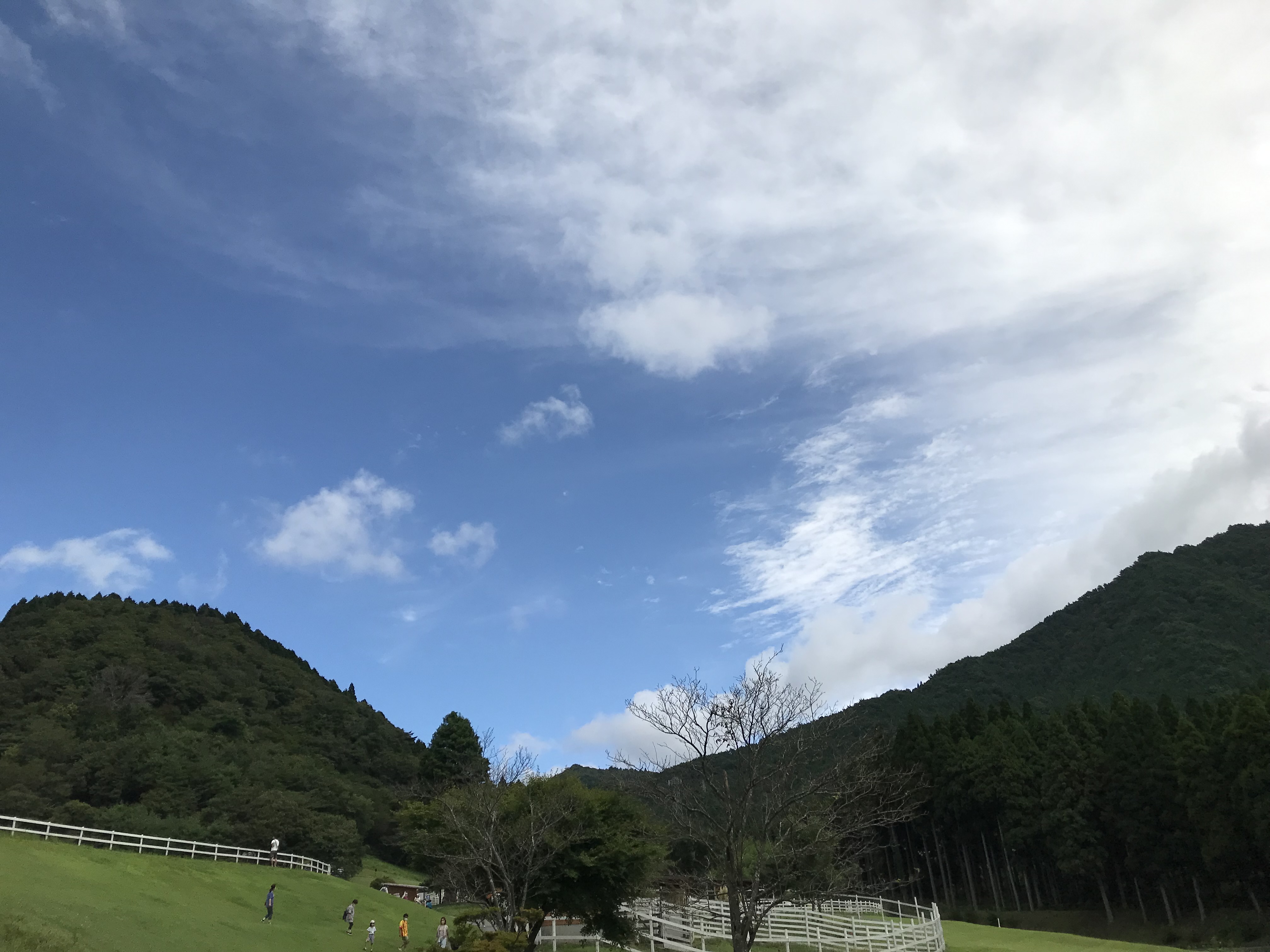 JR福知山線列車脱線事故から19年